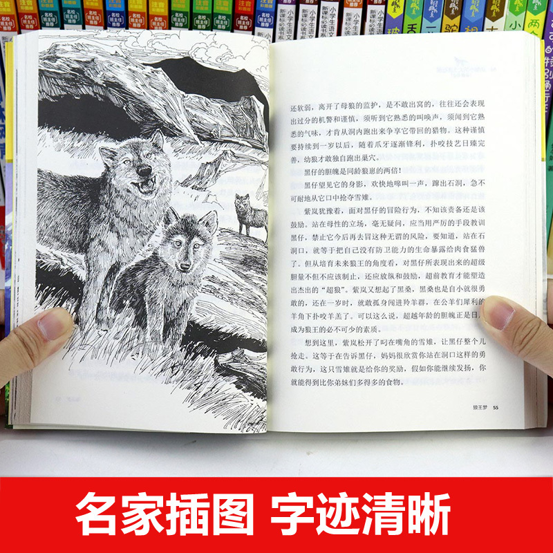 全套8册 四年级必读书目 [正版]狼王梦沈石溪原著全套四年级上册三五六年级必读课外书浙江少年儿童出版社完整版漫画版珍藏版