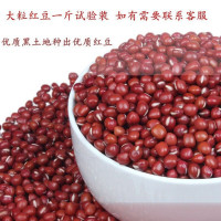真空包装优质 红豆 500g/包 大红豆 五谷杂粮红豆