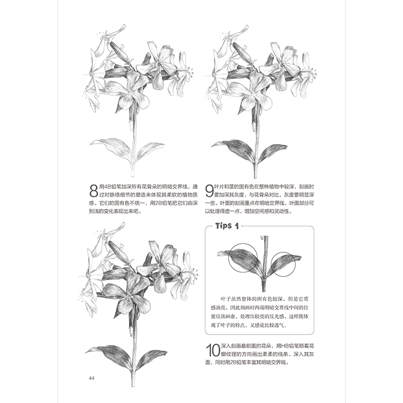 醉染图书零基础学会素描 精进篇9787571334826高清大图