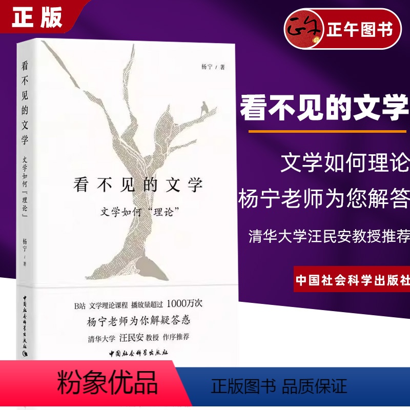 【正版】书籍 看不见的文学:文学如何理论 杨宁 著 哔哩哔哩B站知名up主文学理论 据B站课程《杨宁老师的文学启示课》