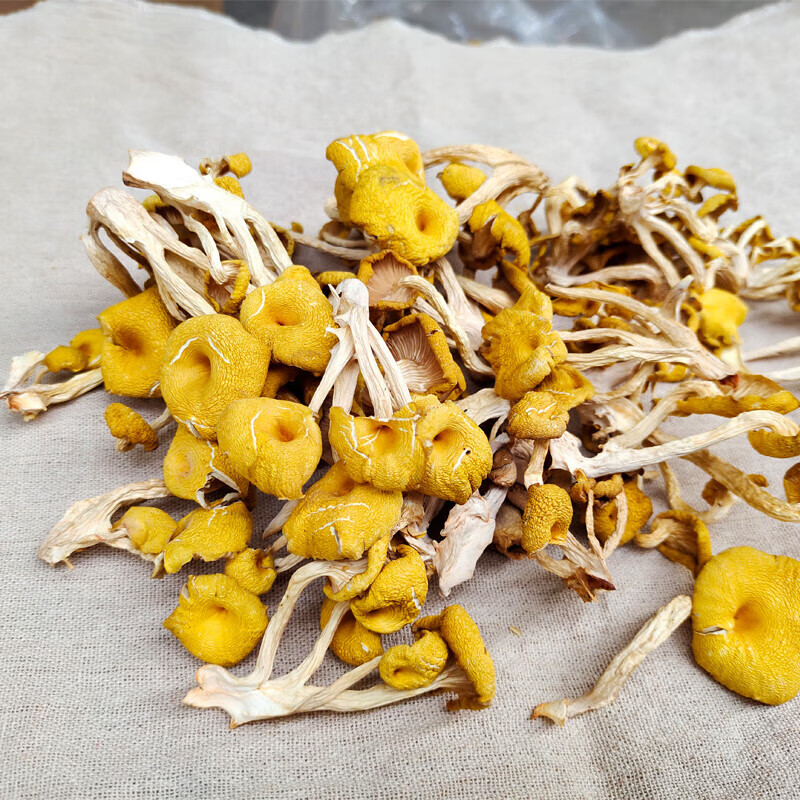 半亩川 盛世山珍 木耳猴头菇鲍鱼菇黄金菇 10拼菌菇山珍 1.5kg / 盒高清大图