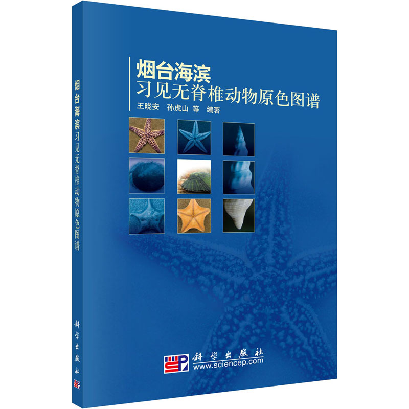 正版新书】烟台海滨习见无脊椎动物原色图谱王晓安9787030277855