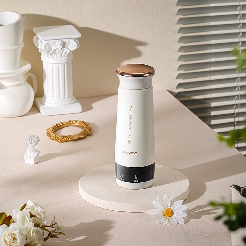 大宇(daewoo) 便携式迷你烧水杯家用旅行泡茶电热水杯d6 白色