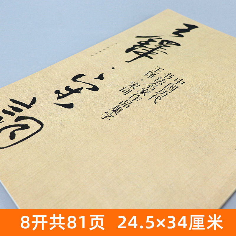 [正版]大尺寸8开王铎集字宋词行书 中国历代书法名家作品集字古诗词江锦世编 简体对照楷行草临帖毛笔书法字帖王铎书法全集人
