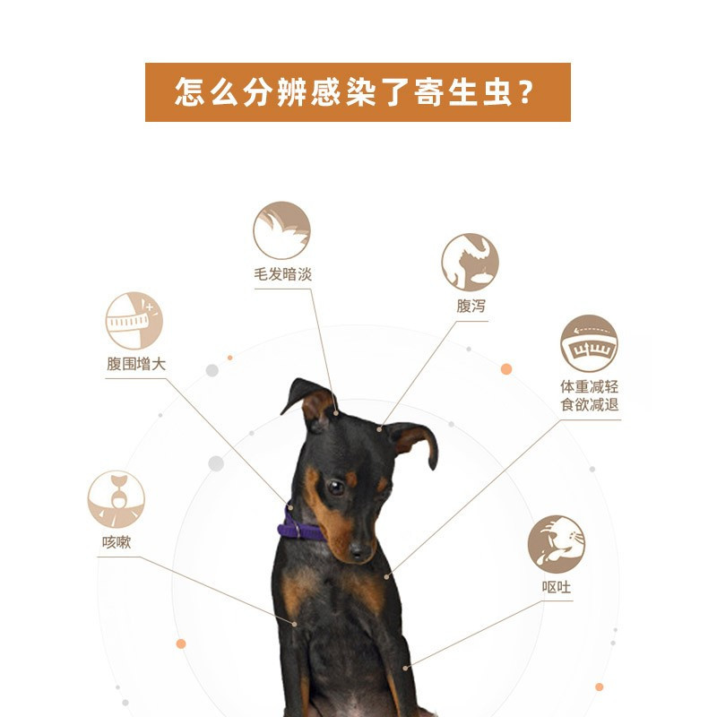 [单支装]大宠爱狗狗体内外驱虫滴剂(适用于2.6-5kgQ犬)体内体外一体驱虫药狗狗驱虫药宠物驱虫