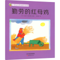 勤劳的红母鸡