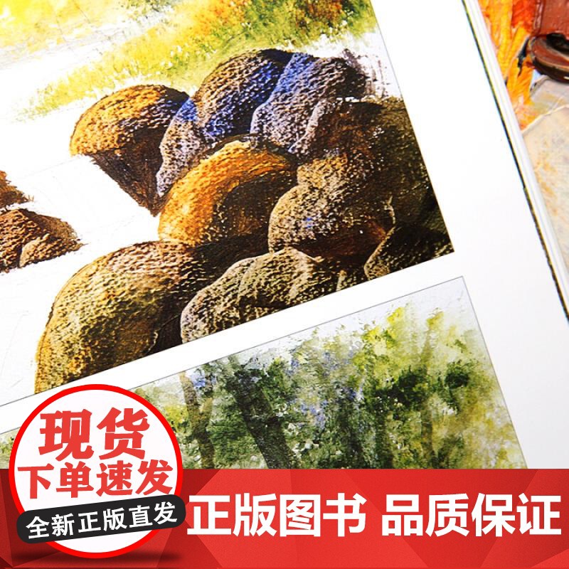 从零开始画丙烯画 配视频 西方绘画技法经典教程 风景丙烯画技法分步教学创意方法 基础教学步骤详解临摹 上海书画出版社高清大图