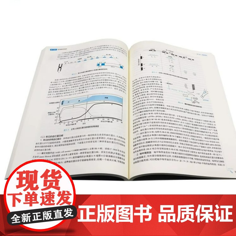 医学遗传学第8版妇产科学10十医学统计生理内科人体系统解剖药理生物化学与分子生物诊断外科神经病病理大学教材人民卫生出版社高清大图