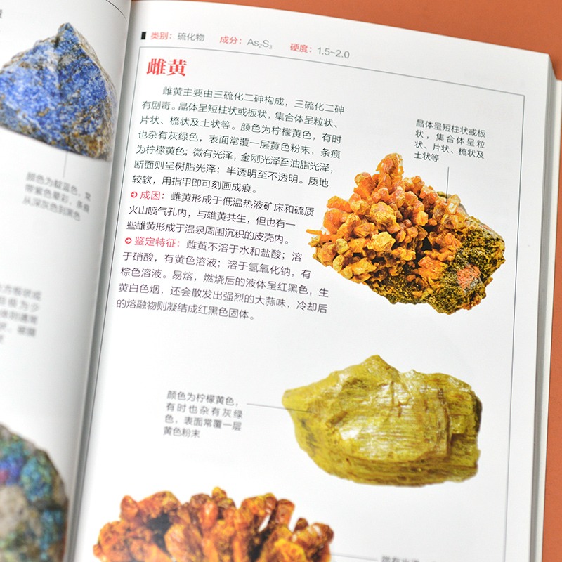 [6册]矿物与岩石+野菜+野花+鸟+名犬+猫图鉴 [正版]全2册 矿物与岩石图鉴+鸟图鉴 矿石百科全书 231种矿物与6高清大图