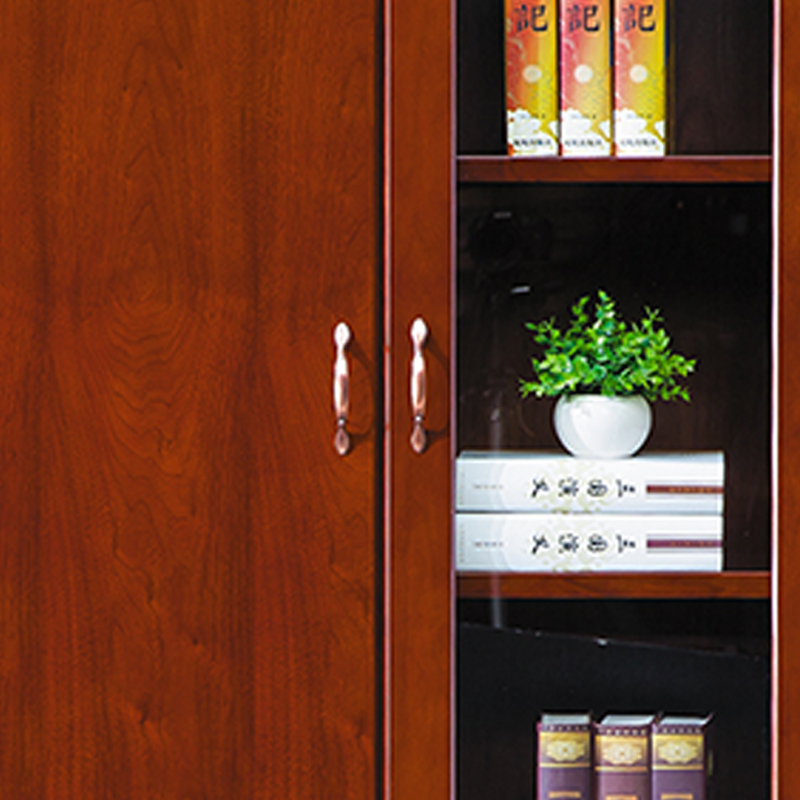 臻远ZY051408木质文件柜油漆贴木皮资料柜书柜 二门高清大图