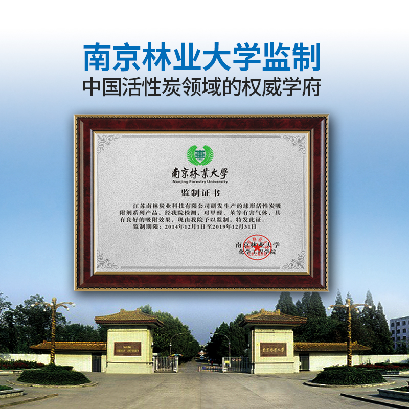 [强效升级 硅礼2kg]南林硅藻纯活性炭竹炭包除甲醛新房装修急入住家用除味碳包汽车用吸附异味高清大图