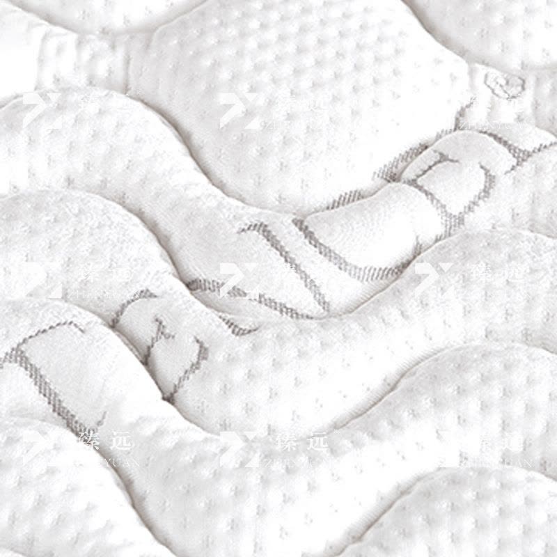 臻远 ZY3120917棕垫护脊3E椰棕床垫1200*2000图片