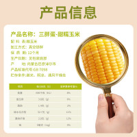 三胖蛋(san pang dan)甜糯玉米新鲜真空包装加热即食黄玉米棒粗粮代餐 228g*9穗礼盒装