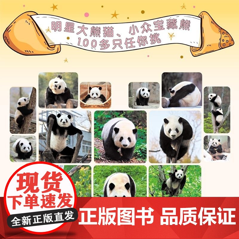 赠熊猫头挎包+冰箱贴]2025年熊猫日历大礼盒 今日宜 吸 熊猫 每日一句躺平文学 松弛感 可爱陪伴一整年 曾祥录写真高清大图