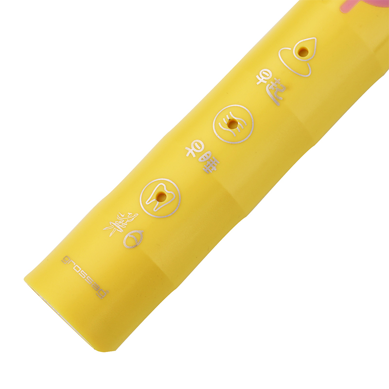 grossag儿童健齿防蛀声波电动牙刷GL-YS02R高清大图