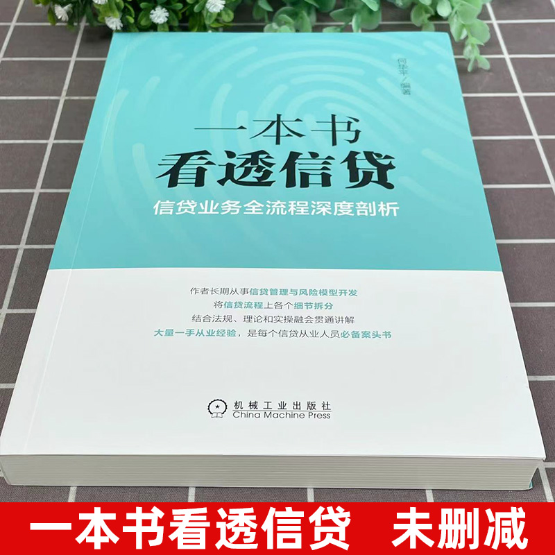 [正版]一本书看透信贷 何华平信贷业务流程深度剖析 企业经济股市管理书籍银行信贷业务业务流程研究信贷风险管理信贷从业人员高清大图