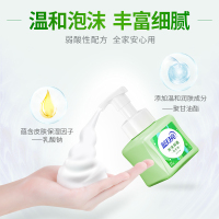 蓝月亮 泡沫洗手液 长效抑菌99.9%* 丰盈泡沫 自然留香 天然芦荟 255ml*1