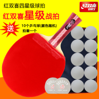 红双喜DHS 四星双面反胶 狂飙套胶成品球拍乒乓球拍 4002/4006