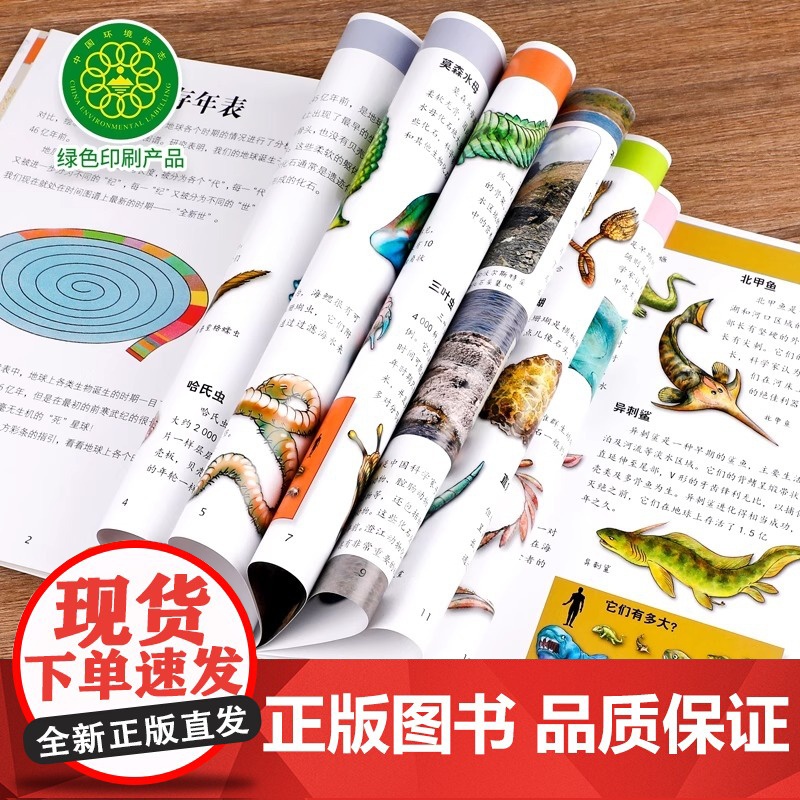 你从未见过的古生物 课外阅读趣味睡前故事书科学启蒙读物 穿越时光隧道一起去探寻神奇的远古生物 儿童绘本科普类 正版书籍高清大图