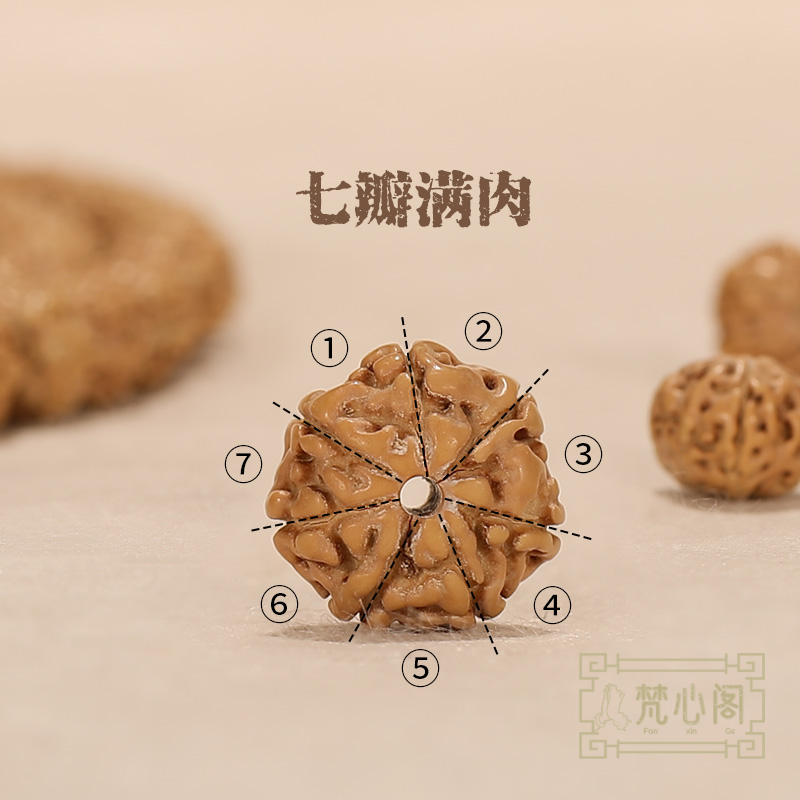 【梵心阁】天然七瓣金刚菩提子手串 高密铁籽民族风手链项链男女