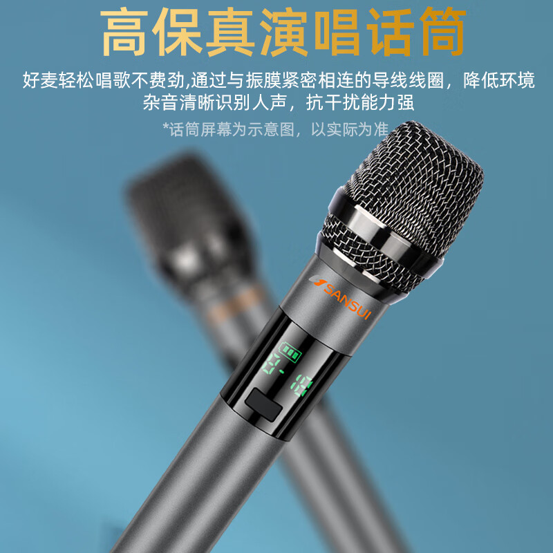 山水(SANSUI)E15户外拉杆大功率音响 移动蓝牙露营重低音炮音箱 E15豪华版(15吋重低音+美声话筒)高清大图