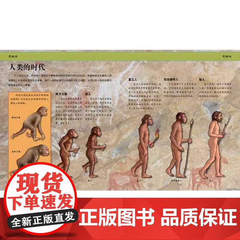 你从未见过的古生物 课外阅读趣味睡前故事书科学启蒙读物 穿越时光隧道一起去探寻神奇的远古生物 儿童绘本科普类 正版书籍高清大图