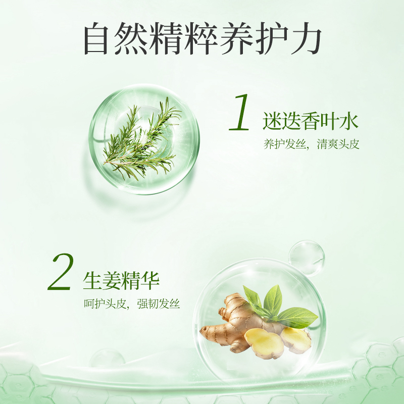 安贝儿植物精粹养护洗发露(油性发质)压泵款460ml 植物精粹养护洗发露洗发水沐浴露护发精油植物精粹洗护套装高清大图
