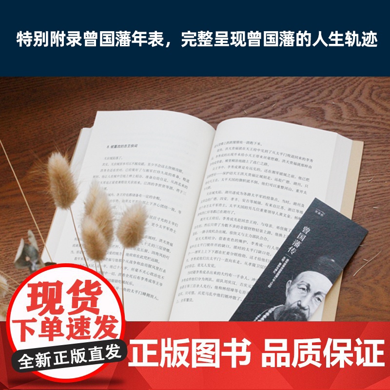 [赠曾国藩年表]曾国藩传 梅寒著 曾国藩家书家训全集 励志处世哲学官场小说 中国人的为人处世书籍 名人故事人物传记书籍高清大图
