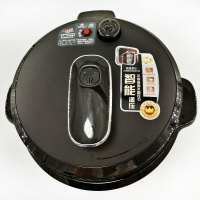 九阳(Joyoung) 可预约电压力煲电压力锅 家用全自动双胆高压锅 Y-60C20