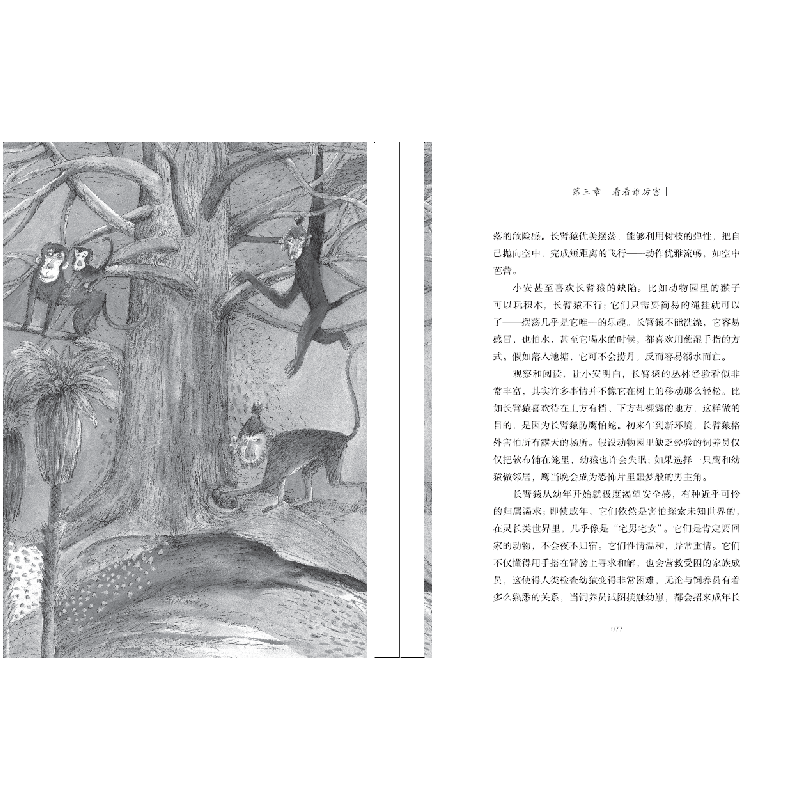 正版新书]你的好心看起来像个坏主意(朗读版)周晓枫978750161917高清大图