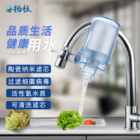 杨枝净水器陶瓷纳米滤芯厨房水龙头滤水器家用直饮自来水过滤器一机二滤透明蓝