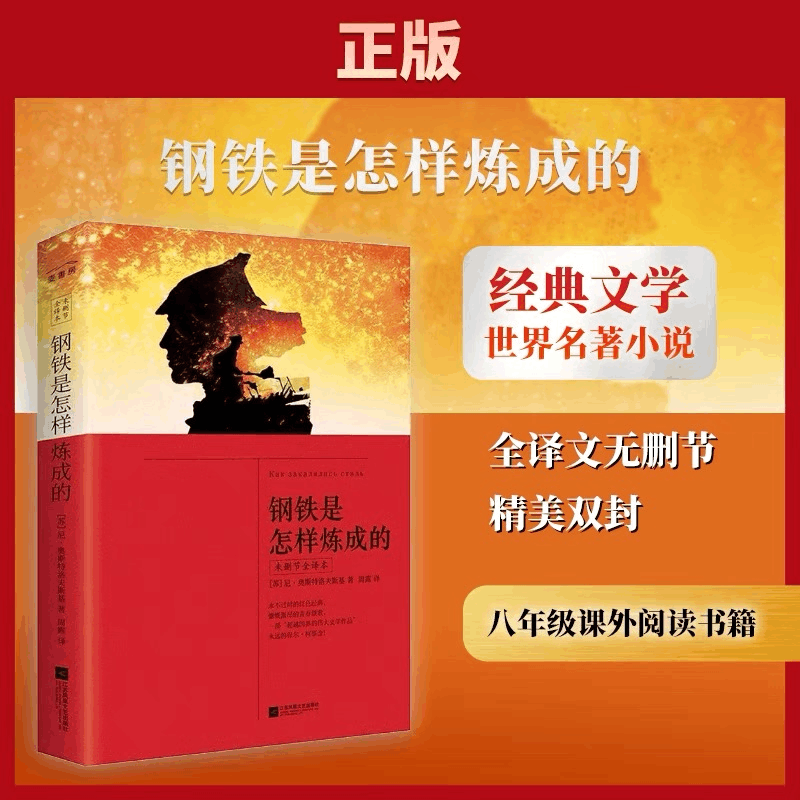 [M]钢铁是怎样炼成的-9787539998329图片
