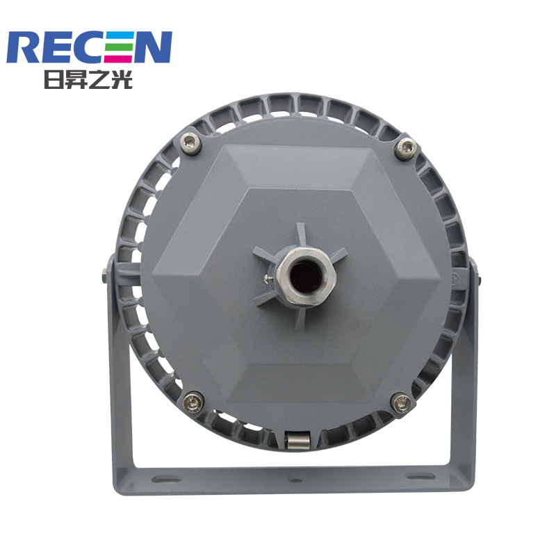 RECEN RGPL229-100W 固定式LED灯具 个高清大图