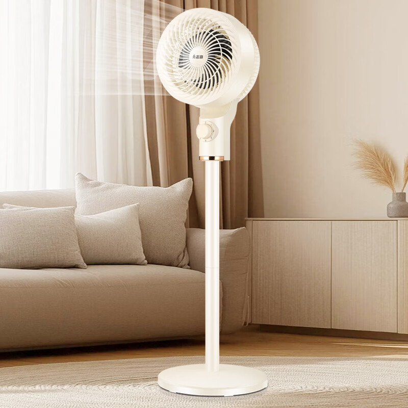 循环扇循环空气清爽一夏家用台式落地风扇摇头遥控定时志高KYT-30