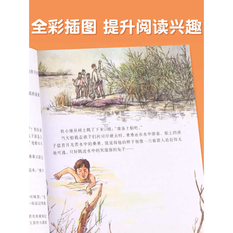 [全套13册]草房子+曹文轩画册+狼王梦 [正版]草房子原著曹文轩画本小学生课外阅读书籍全套3册适合二三四五六年级上册下