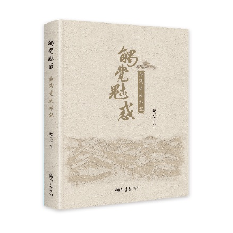 正版新书]触觉魅惑:曲靖老城印记戴兴华9787522531205高清大图