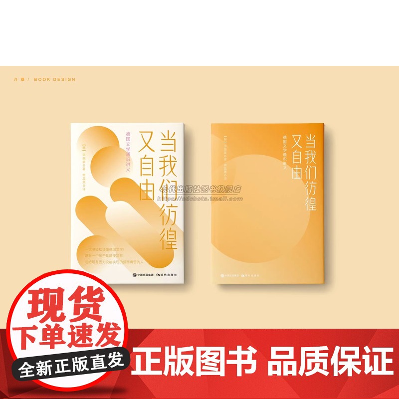 当我们彷徨又自由德国文学通识讲义人文素养普及读物解析名家德国作家黑塞歌德霍夫曼斯塔尔卡夫卡作品阅读经典方法拆解名著书籍X高清大图