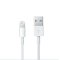 Apple MD818FE/A Lightning to USB USB摆设品/装饰品 数据线 环保材质 白色