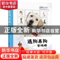 选狗养狗全攻略