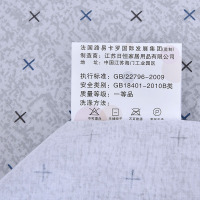 路易卡罗(Louiskellog) 璇之尚四件套线韵之美全棉纯棉床上用品简约北欧网红款 单个价