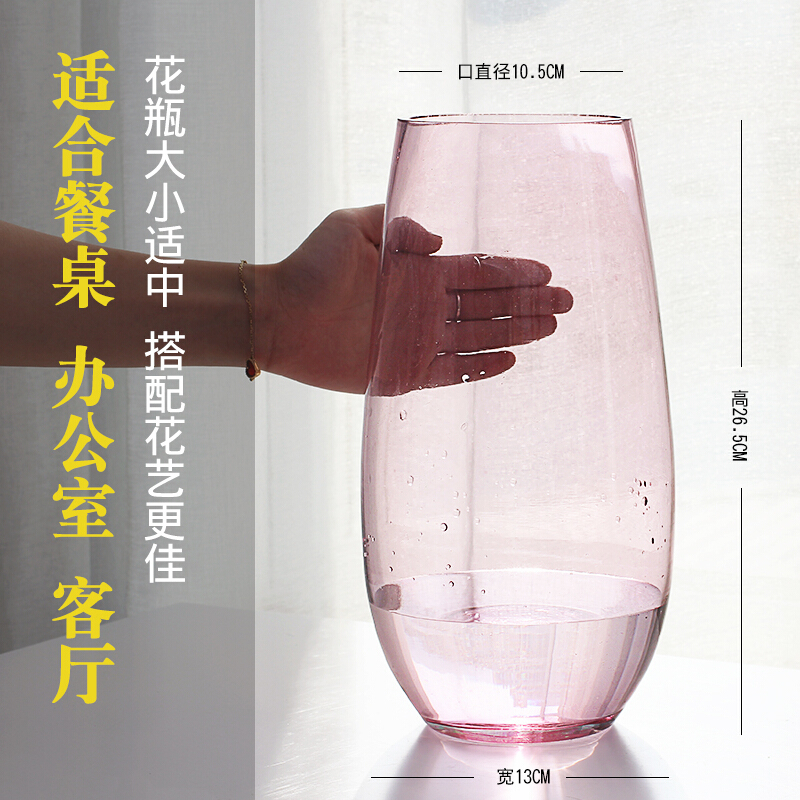 恐龙蛋花瓶欧式透明玻璃插花器客厅摆件创意ins家居植物水培容器