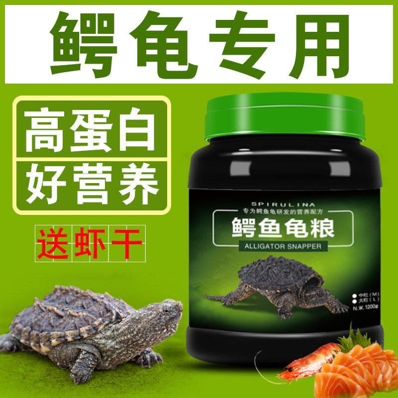 鳄鱼龟粮鳄龟饲料小鳄龟幼龟粮杂佛鳄龟爆刺佛鳄龟粮大鳄龟粮食物图片