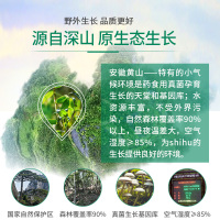 黄山云乐头道破壁有机灵芝孢子粉仿野生林芝袍子粉