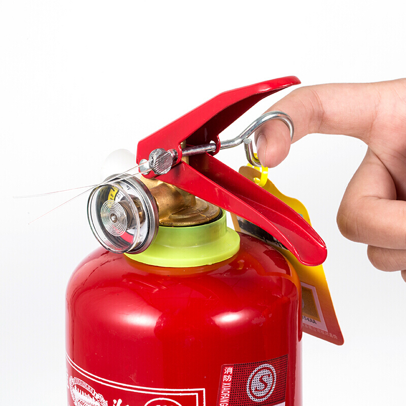 淮海 手提式干粉灭火器5kg MFZ/ABC5(单位:瓶)