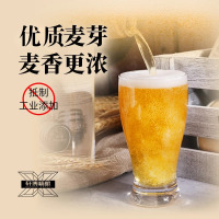 德系轩博1797精酿原浆啤酒全麦白啤880ML*1大桶箱装