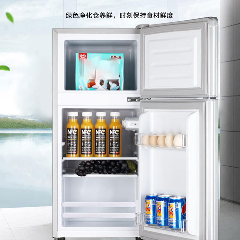 志高(CHIGO) 102升 双门小冰箱 迷你 两门小冰箱 家用 小型电冰箱 (星光银)