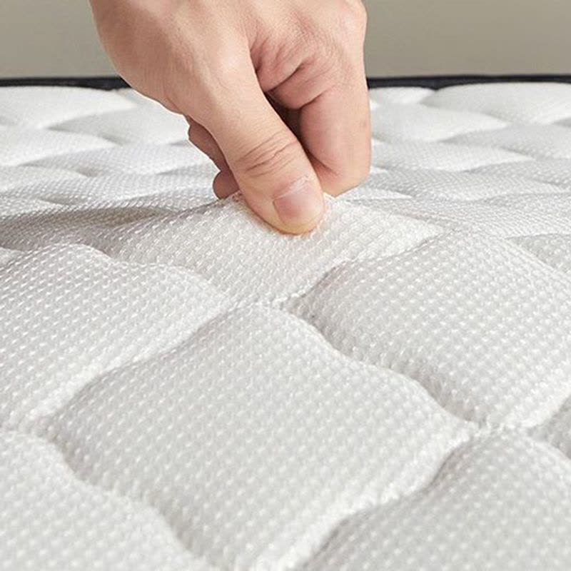 伊伊爱 CD0BN021003801 50*200cm*6cm*1 椰棕乳胶床垫 (单位:个) 白色图片