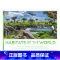 [正版]DK百科全书 世界栖息地 英文原版 Habitats of the World 精装大开全彩插图 探索地球生态