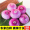 星派果洋葱5斤装20-25个新鲜扁甜味微辣农产品蔬菜
