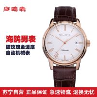 海鸥表(SEA-GULL)手表 休闲镀玫瑰金表镜ST2130机芯 自动机械女表 D519.405L